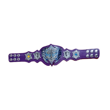 Jeff hardy mini championship belt