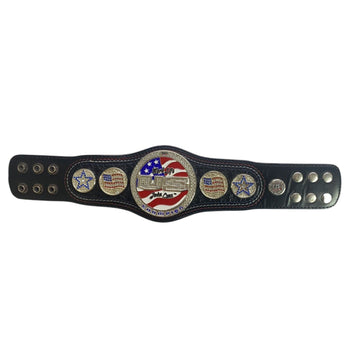John Cena Spinner Wrestling Championship Mini Title Belt