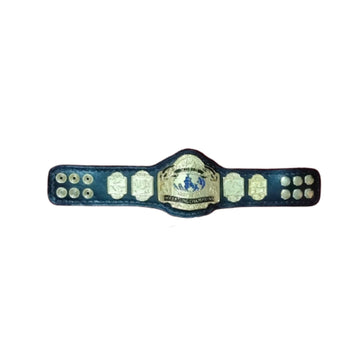 NWA World Tag Team Championship Mini Wrestling Title Belt