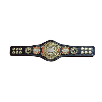 Ring Of Honor ROH Wrestling Championship Mini Title Belt
