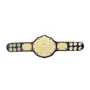 WWE Big Gold Wrestling Championship Mini Title Belt