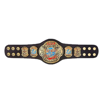 ECW world heavyweight championship belt kids