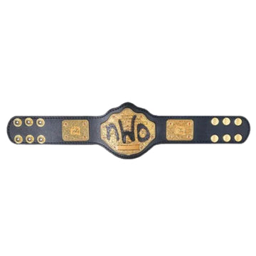 NWO Logo Spray Paint Championship Kids Title Belt