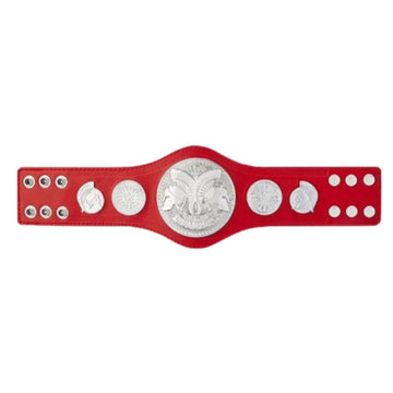 raw wwe tag team belts championship kids title
