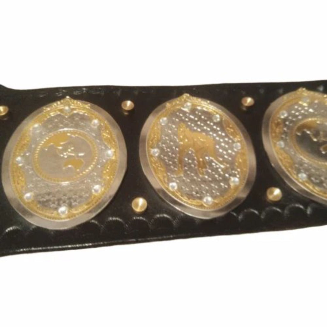 AEW Women's World Championship  Title Belt