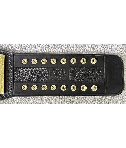 Aew Women’s World Championship Title Belt