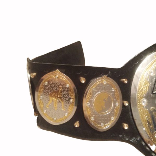Aew World Women Wrestling Championship Belt