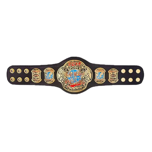 ECW world heavyweight championship belt kids