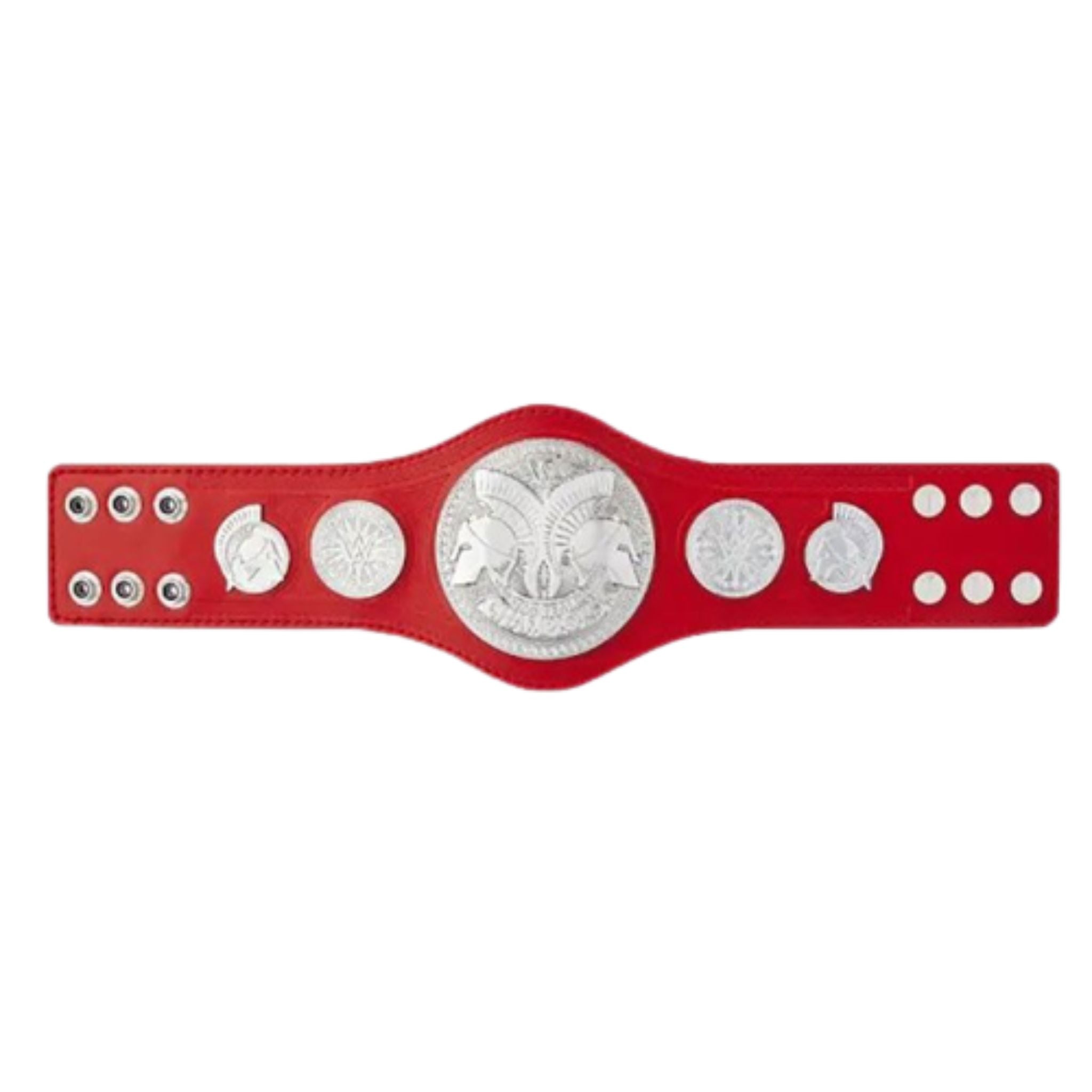raw wwe tag team belts championship kids  title